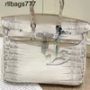 Sac à main en cuir véritable Bk Luxurys Lady Begonia Luxe Crocodile Motif Demi Couture Fil de Cire Femme pour Lesbiennes