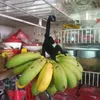 Ganchos de roupas gancho de parede porta chave cabide ferro manter fresco engraçado banana titular fácil instalar durável macaco em forma de cozinha gadgets preto