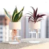 Vases Paresseux Pot de Fleur Hydroponique Automatique Absorbant l'eau Transparent Imitation Verre Pots de Plantes sans Sol Vert