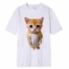 El Gato meme smutne Cat Cat Munchkin Kitty meme Trendy Graphic T-shirt unisex fi krótkie koszulki z krótkim rękawem 11
