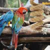 Andra fågelförsörjningsleksaker som hänger repspelstativ tugga abborre för parakiter svängande papegojor stativ papegojor