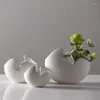 Vasen, einfacher weißer unglasierter Keramik-Blumentopf, kreative Eierschalenform, Heim-Desktop-Dekoration, Kunsthandwerk, Wohnzimmer