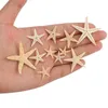 Płyty dekoracyjne 200pcs naturalne rozgwiazdy morze plażowe na plażę morze gwiazdy DIY Dekoracja ślubna Crafts Decor Home Decor 1-5 cm