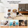 Fütterung automatischer Haustierfuttermittel 3.5L Smart Food Spenser für Katzen Hunde Timer Edelstahl Schüssel Auto Hund Katze Haustier Fütterung Haustier Vorräte