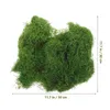 Dekorativa blommor Simulerad Moss Turf Fake Decor for Crafts Diy Faux Artificial Indoor Planter Green