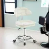 1 Pc Rolling Wheel Gray Stool Swivel with Backrest Free Lift Chair Seat Surface Suitable for Beauty Salon Barber Shop Bedroom