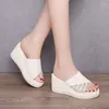 Hausschuhe Echtes Leder Frauen Tragen Sandale Draußen Im Sommer Mode Joker Plattform Strand Sandalen Outdoor Wedges