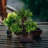 Flores decorativas artificial vaso planta imitação bonsai ornamentos mesa adornos plástico falso desktop simulação plantas verdes