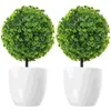 Decoratieve bloemen 2 stuks Kunstplanten Bal Gesimuleerde Plant Bonsai Plastic Bloem Voor Decoratie (Groen)