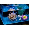 1 pcs Résine Artificielle Aquarium Corail Décoration Fish Tank Récif De Corail Ornement Fleur Corail Rock Aquarium Accessoires 4 couleur 240314