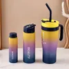 3pcs, Water Bottles Set Portable, Large Gradient Color Straw Sports Tumblers Outdoor Fiess, Camping, Parties - Sippy Cups for School Supplies and Birthdays