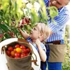 Storage Bags 2pcs Portable Practical Reusable Fruits Berry Bag Gathering Vegetables For Gardeners Picking Apron Foraging Weeding