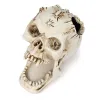Nagrobki 1PC gotycka realistyczna niesamowita dekoracyjna modelka czaszka Dekoracja Dekoracja domu