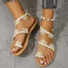 Sandals 2024 Summer New Fashion Set TOE European and American Style Womens Holiday Outdoor Beach Plus Size Shoes H240328R0PL