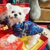 Vestuário para cães tangzhuang pet roupas de estimação festivais do ano chinês bonito