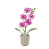 Dekorativa blommor Krukta falska orkidéer Flower Artificial Plant Faux Bonsai utomhus inomhus för balkong bröllop skrivbord och vardagsrum dekoration