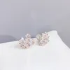 Boucles d'oreilles en forme de cygne en Zircon S925, aiguille en argent 3A, boucles d'oreilles en forme d'animal haut de gamme, mode coréenne populaire pour femmes, bijoux de fête, de banquet, cadeau de saint-valentin, spc