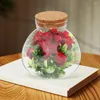 Vasos decorativos micro paisagismo recipiente planta terrário frasco de garrafa ecológica com tampa