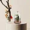 Vaser Micro Landscape Moss Cover Container Table Prorning Glass Terrariums för växter Vase Succulent Jar Bell Shaped Mini