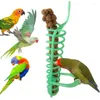 Other Bird Supplies Plastic Pet Parrot Feeder Hanging Cage Toys Fruit Vegetable Container Feeding Cup Cuttlebone Stand Holder Accessories