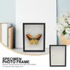 Frames Frame Display Floating Specimenpressed Flowers Po Picture Box Holder Glass 3D Artwork Flower Dried Bugs Shadow Caseinsect