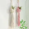 Manden Macrame plantenhouder Katoenen touwmand Hangende luchtplanten Spaans mos Tillandsia Usneoides Bloempotmanden Hanger Muurdecoratie