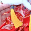 Dog Apparel Beautiful Skirt Tassel Design Ultra-Thick Pet Tang Suit Retro Chinese Style Cat Dress Clothing