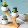 Magasy 3 lager Small Plant Pot Holder Mini Planter Bambu Tray Mini Liten Flower Plant Pot Stand for Home Office Table Decoration