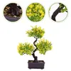 Flores decorativas artificial vaso planta imitação bonsai ornamentos mesa adornos plástico falso desktop simulação plantas verdes