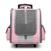 Cat Carriers Wholesale Of Pet Backpacks Portable For Outdoor Use Dog Luggage Carrying Bags