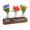 Vaser Hydroponic Plant Flower Pots Glass Vase for Lover Gift Tablett Heminredning Skär inomhus