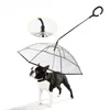 Colliers pour chiens, parapluie Transparent pour animaux de compagnie, fournitures de type C, corde de Traction réglable pour la marche sous la pluie, petit