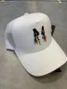 2022 Nieuwste Kleuren Ball Caps Luxe Ontwerpers Hoed Mode Trucker Cap Hoge Kwaliteit Borduren Letters 22ss