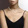 Kettingen Daifuni Punk 925 Sterling Silver 6mm ketting voor mannen Women Curb Cuban Link Chain Chokers Vintage Silver Mode Mode Sieraden