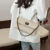 Lojas Exportar Bolsas de Ombro de Designer de Grande Capacidade Bolsa de Corrente para Mulheres em 2024 Nova Moda Bolsa de Orelha Dobrável de Lona Moderna e Simples Crossbody