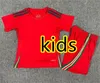 Gh 2024 Wales Soccer Jerseys JAMES BALE 24 25 Welsh Football Shirts JOHNSON N.WILLIAMS RODON T.ROBERTS CABANGO LEVITT MOORE THOMAS Men Kids Kit Jersey