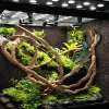 Dekor Reptil Vivarium Flexible Dschungelrebe Biegbares Haustier-Kletter-Rattan-Lebensraum-Dekor Zweige Biegbares Dschungel-Reptilien-Haustier-Lebensraum-Dekor