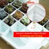 Planters Meshpot 16Pack Succulents POTS PLAX Blommor Pot Plants Container Plantor Nursery Supplies Home Decoration (Inner Dia. 6CM)