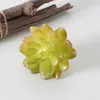 Dekorative Blüten simulierte saftige Pflanze glänzende Welle und Setting dekoramentaler Bonsai Farbe Künstliche Topfe