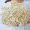 Kwiaty dekoracyjne naturalne świeże gipsophila gałęzie suszone kwiaty dekoracja ślubna