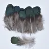 Pierres tombales Plumes de faisan naturelles pour l'artisanat Plumes de pois Artisanat Plumes Décor Accessoires de mariage Plume Plumas Décoration de carnaval