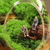 Vazen 1Pc Creatieve eivormige Glazen Flessen Hydrocultuur Vlezige Micro Landschap Terrarium Succulent Vaas Moss Home Decor