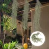 Dekorativa blommor simulerade hängande vinrankor lavväxter bevarade torkad faux prop landskapsarkitektur hem blomkruka