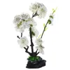 Ensemble de vaisselle Sushi Décoration Fleurs Plant Ornements Plantes Plantes El fournitures Overnications décoratives Disc décorations artificielles