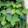 Decorações de jardim Movido a energia solar Voando Wobble Flutuante Ornamento de borboleta Bonito Animal Pássaro Estaca Quintal Decoração de gramado ao ar livre