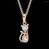 Pendant Necklaces Cat Kitten Cute Necklace Pendants For Womens Stainless Steel Rose Gold Color Chain Cubic Zirconia Jewelry2872