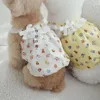 Dog Apparel Dresses For Small Cute Costume With Lace Cotton INS Pet Clothes Teedy Bear Pattern Product Puppy Accessories