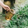 Lattine Annaffiatoio in plastica Bottiglia in acciaio inossidabile con beccuccio lungo Annaffiatoio infrangibile per piante da interno ed esterno Fiori