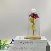 Fleurs décoratives fleur artificielle Rose rouge conservée dans un dôme de verre avec lumière LED cadeau romantique pour anniversaire de mariage