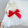 Vêtements pour chiens Robe d'hiver Jupe de chat Harnais Costume Yorkshire Vêtements de Poméranie Shih Tzu Caniche maltais Bichon Schnauzer Manteau de vêtements